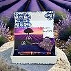 Armando Simoni Club Dreams Of Provence France Bespoke 2025 Fountain pen Armando Simoni Club Dreams Of Provence France Bespoke 2025 Fountain pen