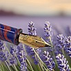 Armando Simoni Club Dreams Of Provence France Bespoke 2025 Fountain pen Armando Simoni Club Dreams Of Provence France Bespoke 2025 Fountain pen
