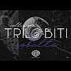 Aurora Trilobiti Collection Cobalto Demonstrator Füllfederhalter