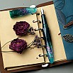 Benu Briolette Starlit Oasis Fountain pen Benu Briolette Starlit Oasis Fountain pen