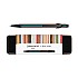 Caran d'Ache 849 Paul Smith Edition 5 Black Kugelschreiber