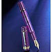 Delta Mid-Size-Plus Majestic Purple GT Vulpen