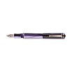 Delta Write Balance Violet RGT Fountain pen