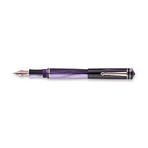 Delta Write Balance Violet RGT Fountain pen