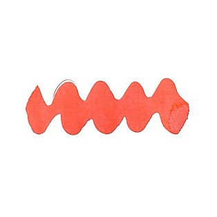 Diamine Forever Ink Coral Blaze 50ml Botella de tinta