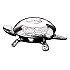 El Casco Shiny Chrome Reception Bell