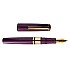 Esterbrook Model J Blackberry Ebonite GT Pióro Wieczne