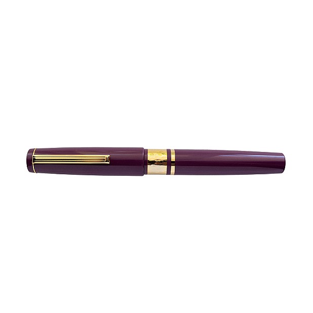 Esterbrook Model J Blackberry Ebonite GT Vulpen