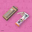Esterbrook Peanuts 75th Anniversary Edition Sally Penetui