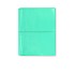 Filofax Domino Turquoise A5 Organizer