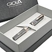 Gioia Luminosa Grey GT Fountain pen