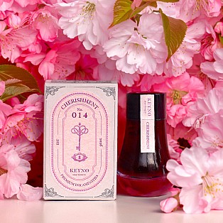 Keyno Stay.tionery Key no.014 Cherishment 25ml Ink Bottle