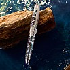 Laban Oceana Abalone Skeleton ST Fountain pen