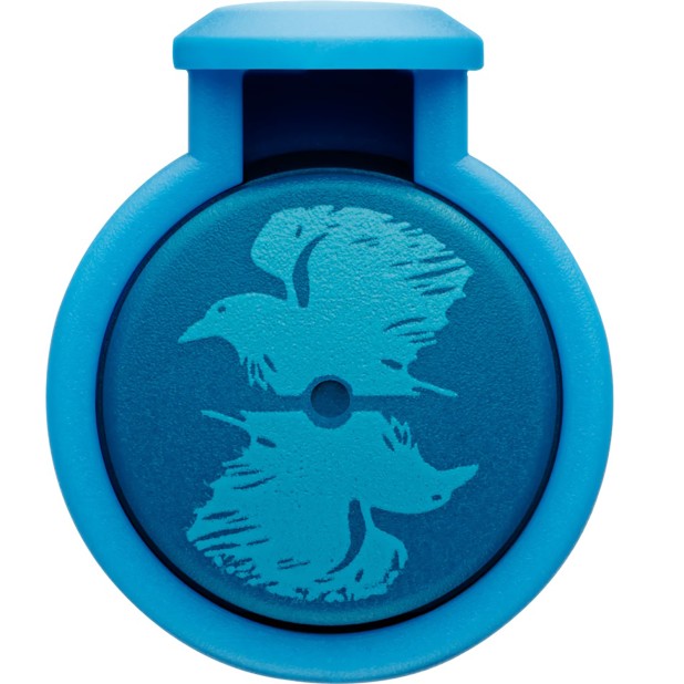 Lamy Nexx Harry Potter Ravenclaw Plumo Estilográfica