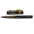 Lamy Safari Harry Potter Hufflepuff Fountain pen