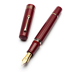 Leonardo Dodici Guillochè Burgundy GT Fountain pen