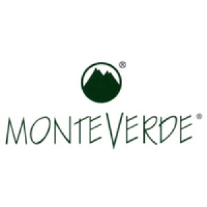 Monteverde MV26893 azul Pluma estilográfica 