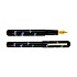 Ikkaku by Nahvalur Urushi Dragonyfly Fountain pen