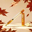 Nahvalur Original Plus 2026 Fountain Pen Day LE GT Vulpen