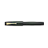 Namiki Aya Tokiwa Evergreen Fountain pen
