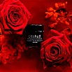 Otto Hutt Design Scented Ink Luna Eclipse Young Rose Bouteille d'Encre