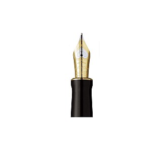 Parker Duofold Centennial GT Penpunt