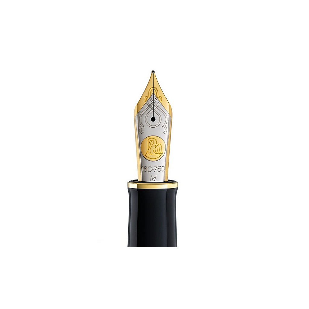 Pelikan M1000 18kt Gold Bicolour Nib | Appelboom.com