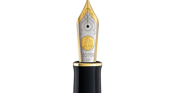 【極美品】新品未使用 Pelikan 万年筆 m1000  18C 750F Pelikan M1000 18kt Gold Bicolour Nib | Appelboom.com