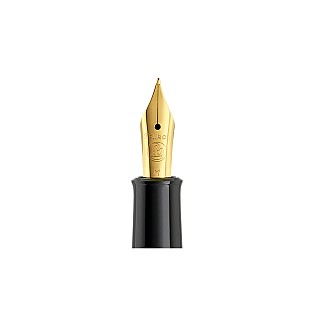Pelikan M200 Steel Goldplated Nib