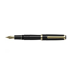 Platinum #3776 Century 10th Anniversary Fountain pen