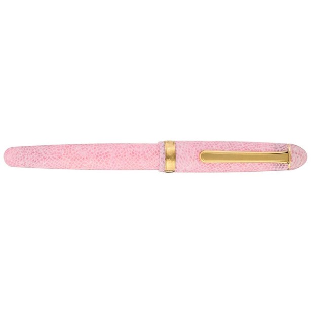 Platinum #3776 Century Celluloid Sakura Fountain pen