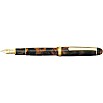 Platinum #3776 Century Celluloid Tortoise Fountain pen Platinum #3776 Century Celluloid Tortoise Fountain pen