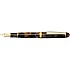 Platinum #3776 Century Celluloid Tortoise Fountain pen