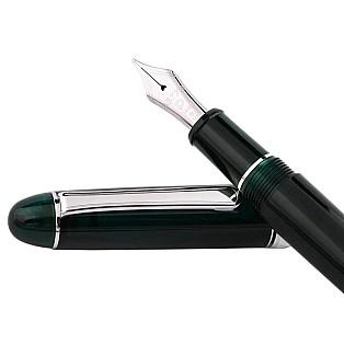 Platinum #3776 Century Laurel Green ST Fountain pen
