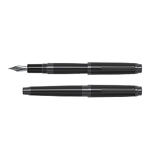 Platinum #3776 Century Travia Special Edition Fountain pen