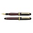 Platinum #3776 Century Favorite Things Collection Coffee Jelly Fountain pen