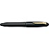 Platinum Izumo Soratame Fountain pen