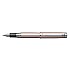 Platinum Procyon Luster Rose Gold Fountain pen