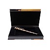 Montblanc Writers Edition Miguel de Cervantes LE Fountain Pen Pre-owned