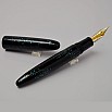 Sailor 1911 King of Pens Tamenuri Raden Nami Caneta-tinteiro