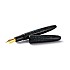 Sailor 1911 King of Pens Tamenuri Raden Nami Caneta-tinteiro