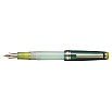 Sailor Pro Gear Slim Dried Flower Eucalyptus GT Fountain pen