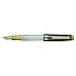 Sailor Pro Gear Slim Dried Flower Eucalyptus GT Fountain pen