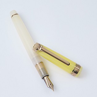 Sailor Pro Gear Slim Dried Flower Marigold GT Fountain pen