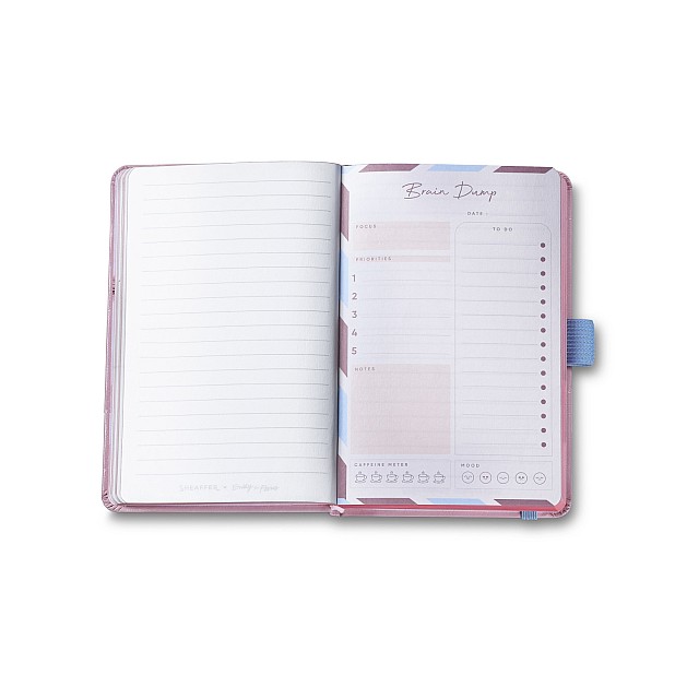 Sheaffer Sentinel Emily in Paris Matte Pink Bow ST Ballpoint and Notebook Set