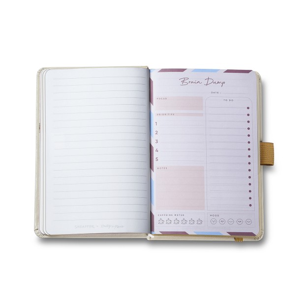 Sheaffer 100 Emily in Paris Champagne Gold GT Balpen and Notebook Set