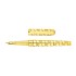 S.T. Dupont Line D Eternity Monogram 1872 Gold XL Fountain pen