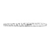 S.T. Dupont Line D Eternity Monogram 1872 Silver Large Fountain pen S.T. Dupont Line D Eternity Monogram 1872 Silver Large Fountain pen