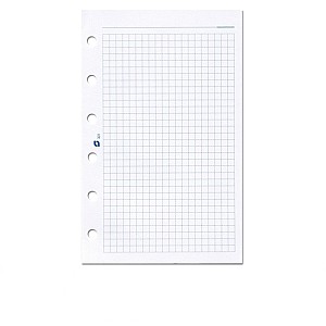 Succes Vulling A5 Wit Geruit Notitiepapier