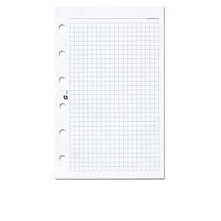 Succes Vulling A5 Wit Geruit Notitiepapier Succes Vulling A5 Wit Geruit Notitiepapier